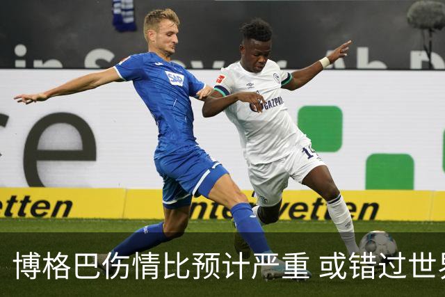 博格巴伤情比预计严重 或错过世界杯到明年才复出